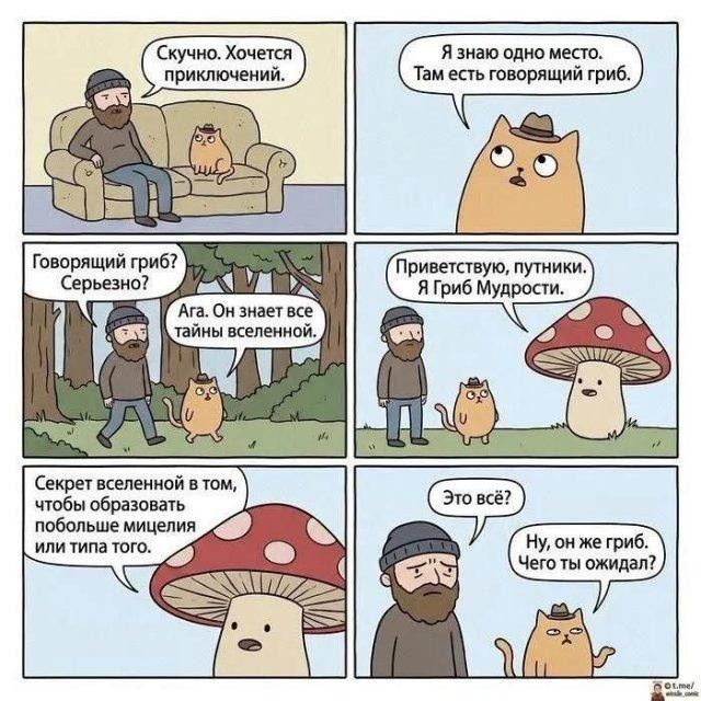 Скучно. Хочется приключений. Я знаю одно место. Там есть говорящий гриб. Говорящий гриб? Серьезно? Ага. Он знает все тайны вселенной. Приветствую, путники. Я Гриб Мудрости. Секрет вселенной в том, чтобы образовать побольше мицелия или типа того. Это всё? Ну, он же гриб. Чего ты ожидал?