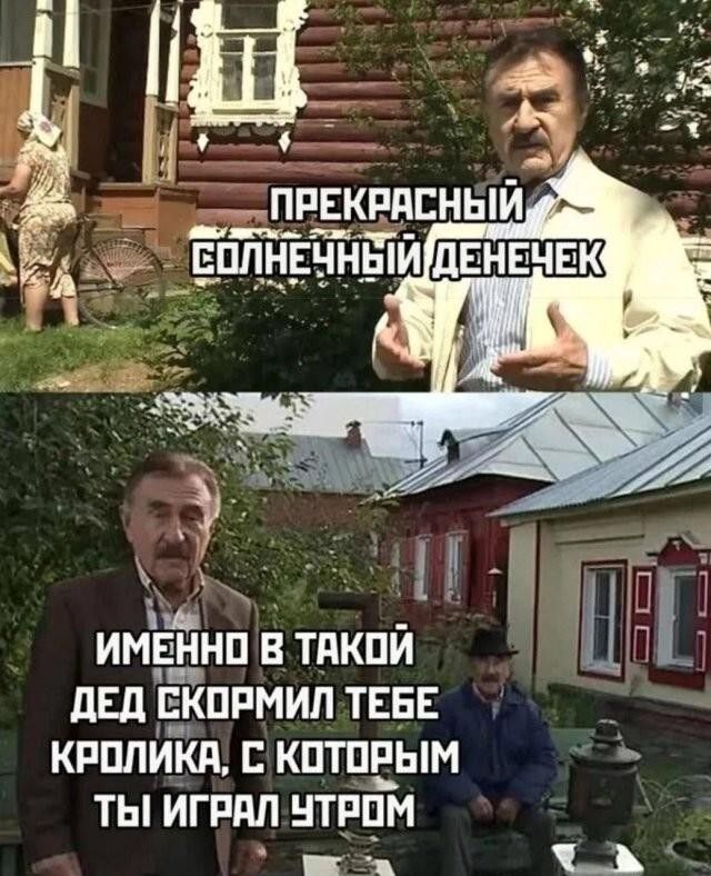 ПРЕКРАСНЫЙ СОЛНЕЧНЫЙ ДЕНЕЧЕК ИМЕННО В ТАКОЙ ДЕД СКОРМИЛ ТЕБЕ КРОЛИКА, С КОТОРЫМ ТЫ ИГРАЛ УТРОМ