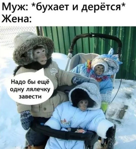 Муж: *бухает и дерётся* Жена: Надо бы ещё одну лялечку завести