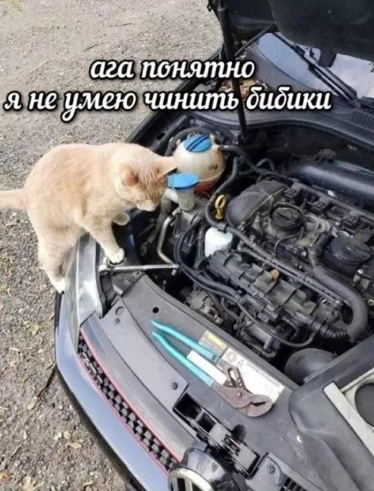 ага понятно я не умею чинить бибики