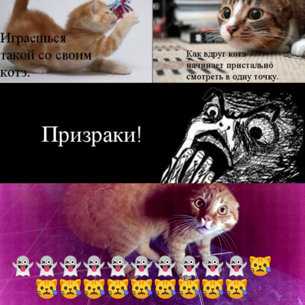 и нчинач щ ниши но смотреть одну точку