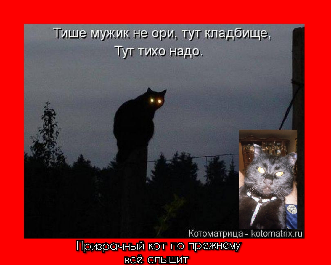 Тише мужик не ори тут кладбище Тут тихо надо
