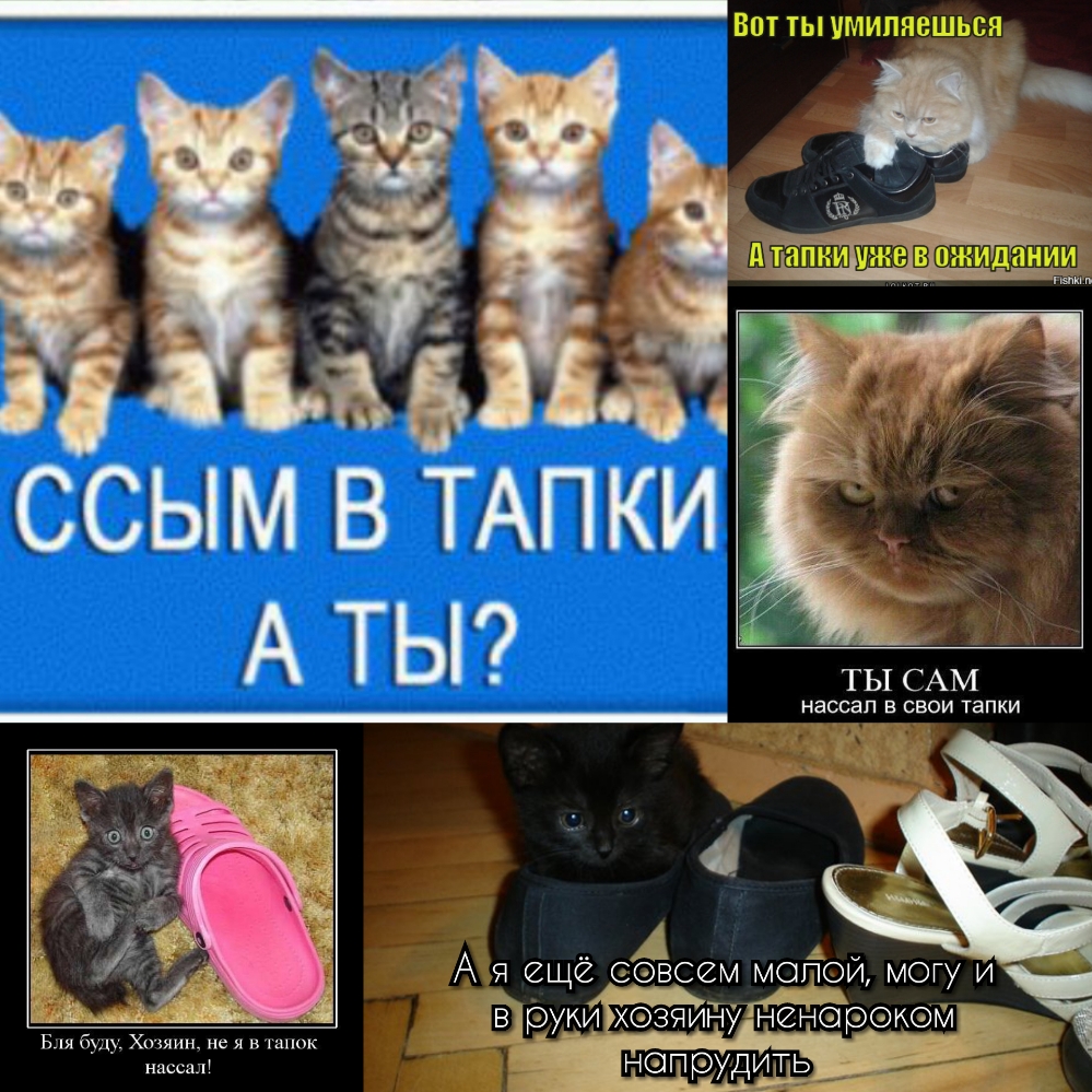 ч _ С С Ы М Б бЫ Хц шиш не я в шпик сал _ и 1Пі1 ВПТ ТЫ МИПНВШЬСЯ ТЫ САМ наосап в свои тапки
