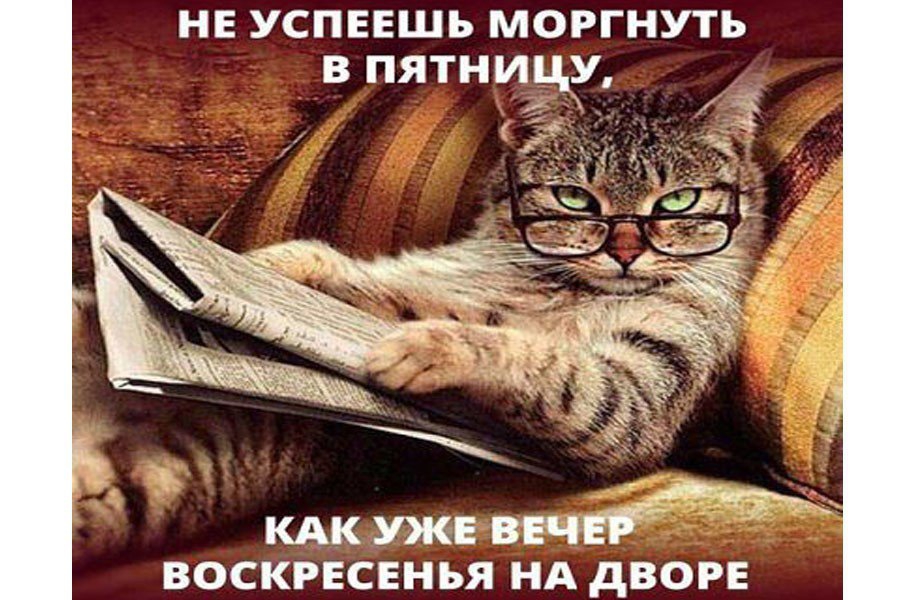 не успеешь моргнуть в пятницу из КАК УЖЕ ВЕЧ ВОСКРЕСЕНЬЯ НА дВОРЕ