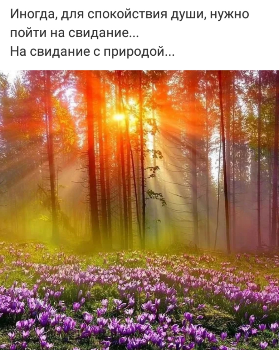 Иногда для спокойствия души нужно пойти на свидание На свидание с природой