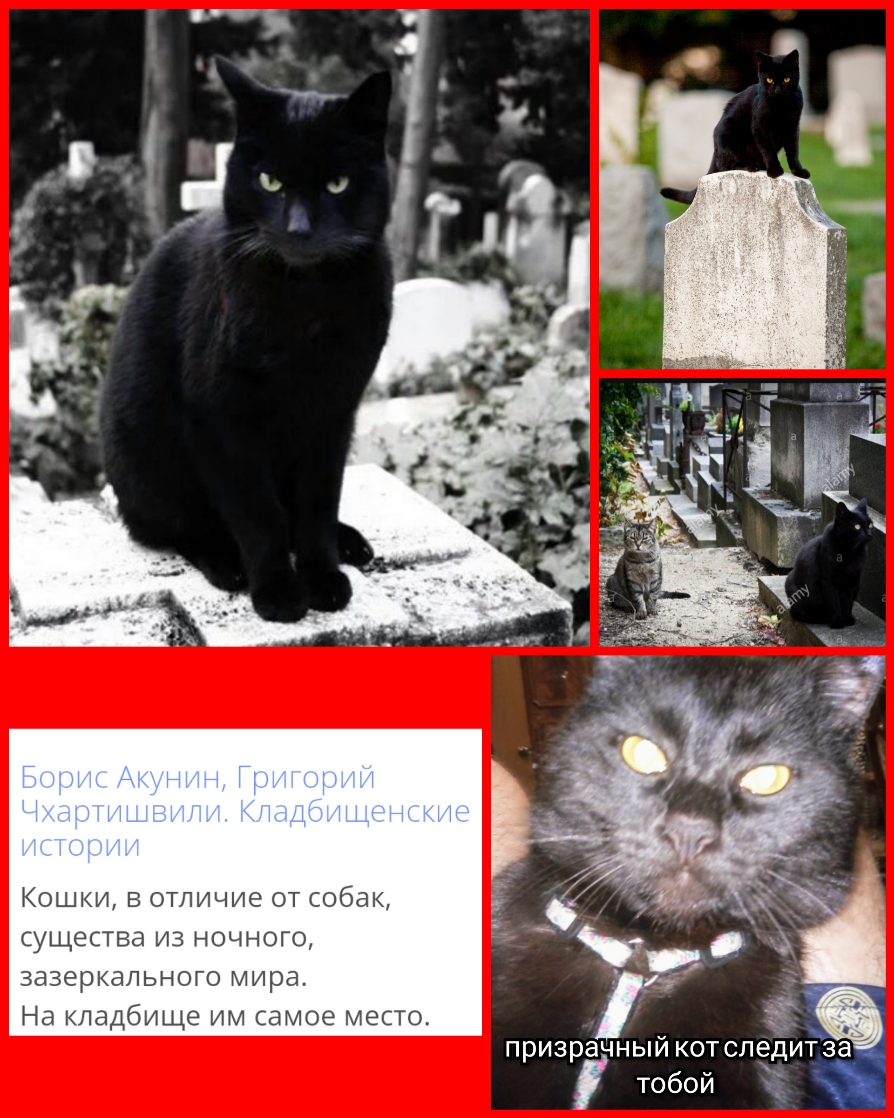 КОШКИ В отличие ОТ собак ущеСТва ИЗ НОЧНОГО ЗдЗЭрКдЛЬНОГО мира На кладбище им самое место призрачныйкотсле тобой Ёитзё