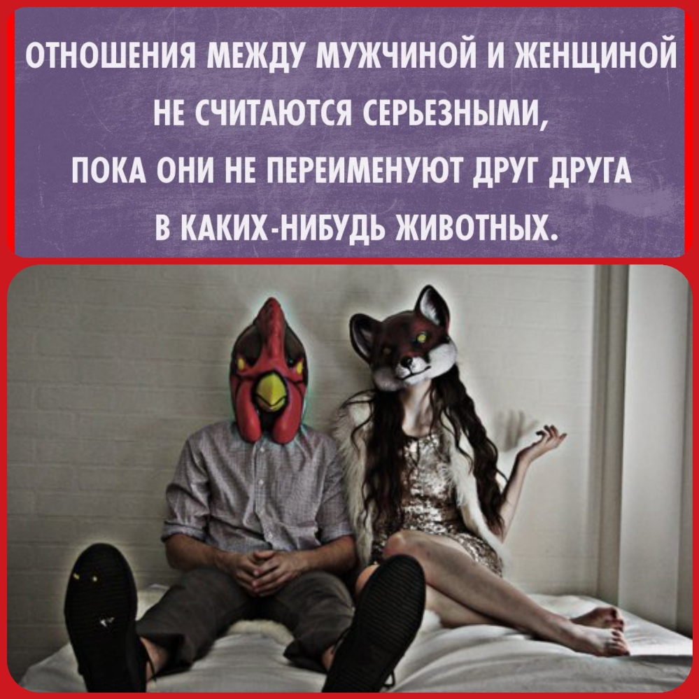 ОТНОШЕНИЯ МЕЖДУ МУЖЧИНОЙ И ЖЕНЩИНОИ НЕ СЧИТАЮТСЯ СЕРЬЕЗНЫМИ ПОКА ОНИ НЕ ПЕРЕИМЕНУЮТ дРУГ дРУГА В КАКИХ НИБУДЬ ЖИВОТНЫХ