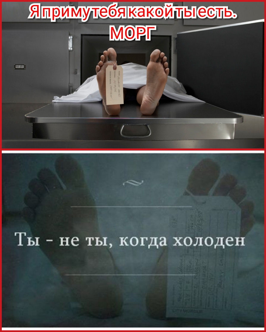 Ты не ты когда хол0ден