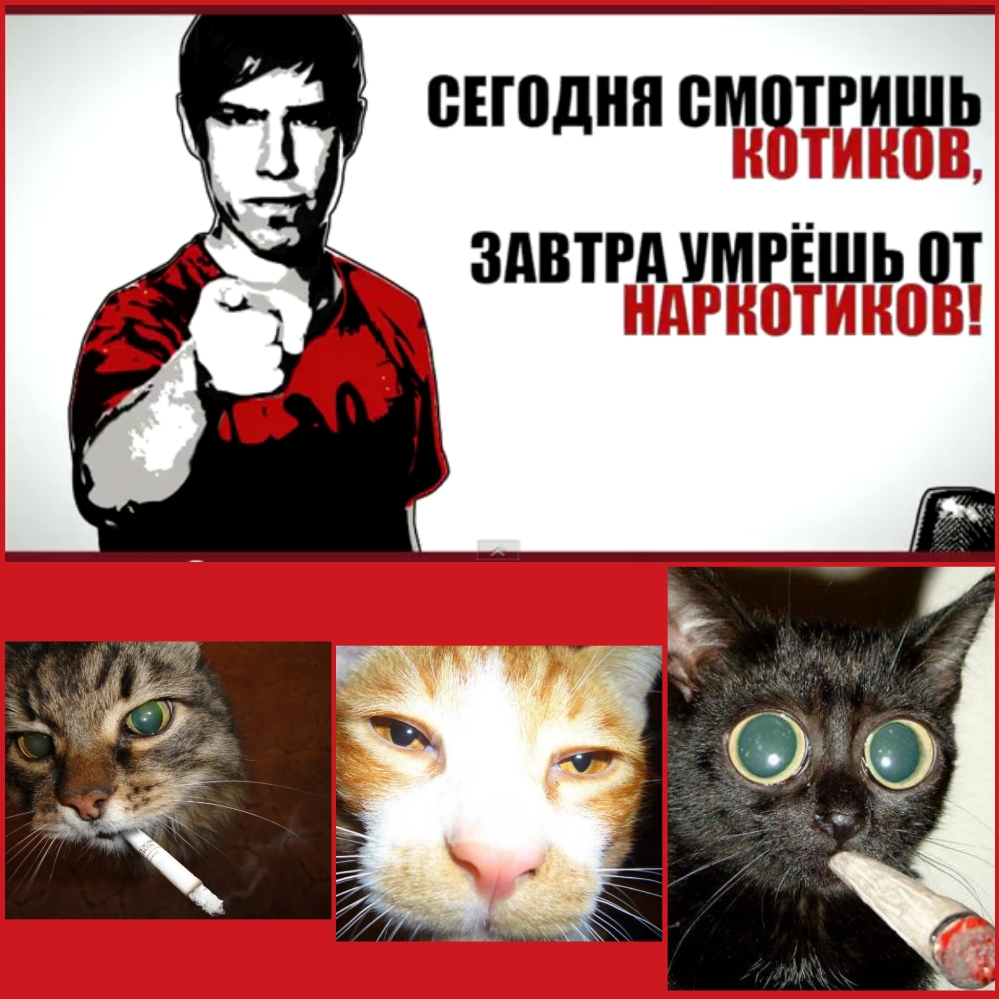ВЕШДНЯ 8М0ТРИШЬ ЗАВТРА УМРЕШЬ 01