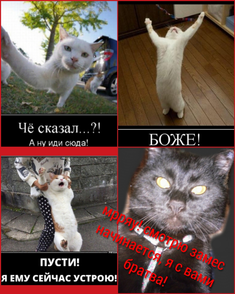 Чё сказал А ну иди сюда ПУСТИ Я ЕМУ СЕЙЧАС УСТРОЮ