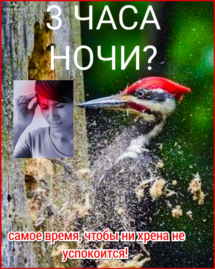 и и ЧТ ко и я успо