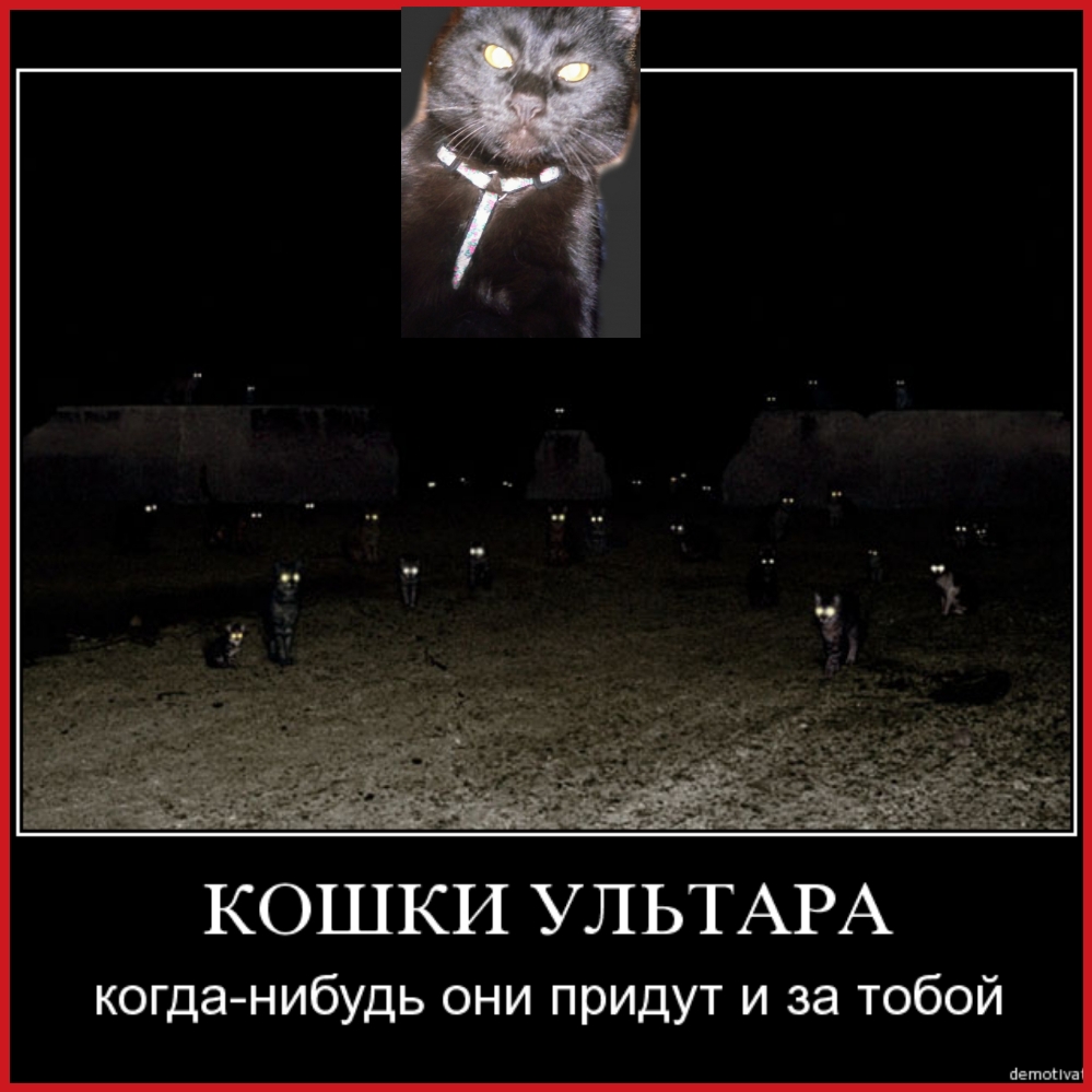 КОШКИ УЛЬТАРА когда нибудь они придут и за тобой пешим