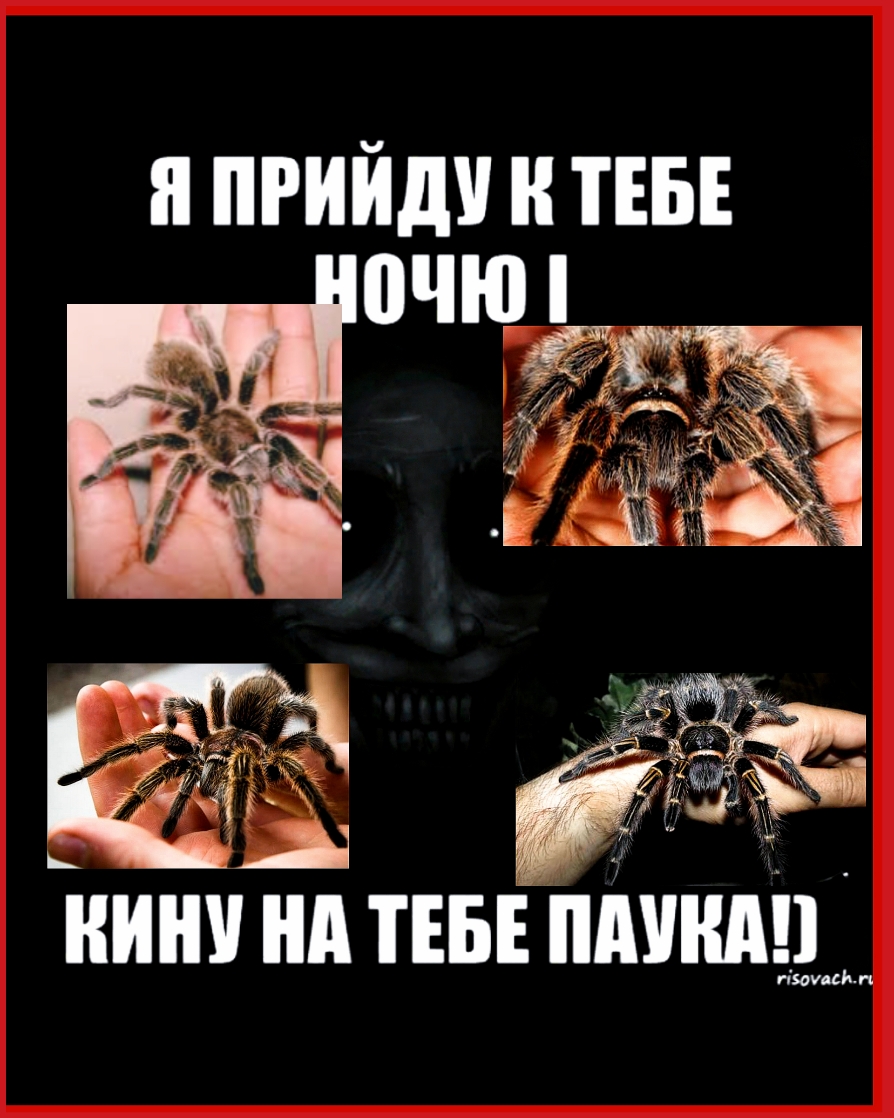 ч ПРИИДУ Н ТЕБЕ нини нд пв пдшшп съ п