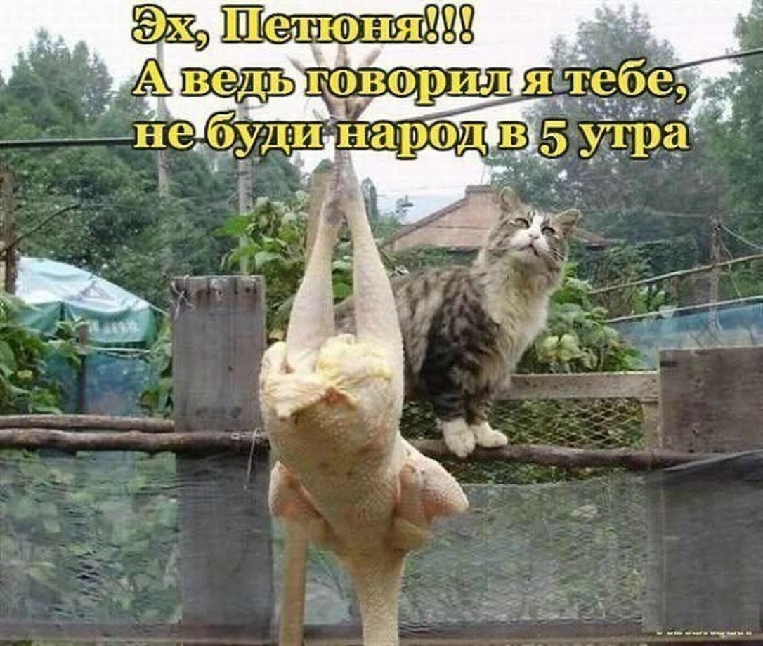 в 0__ х_