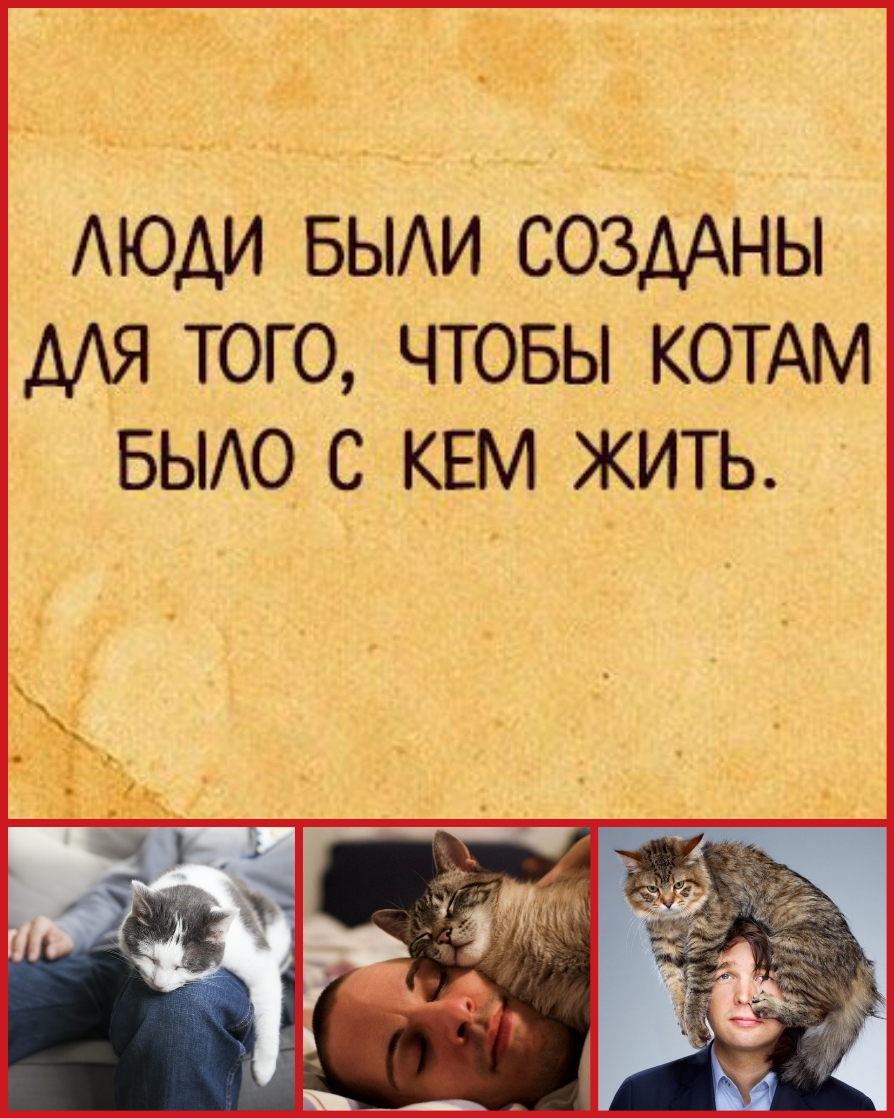 1 31432 __ ч Аюди выди соЗААны для того чтовы КОТАМ БЫАО с КЕМ жить