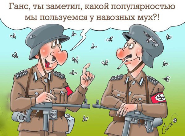 Ганс ты заметил какой популярностью мы пользуемся у навозных мух