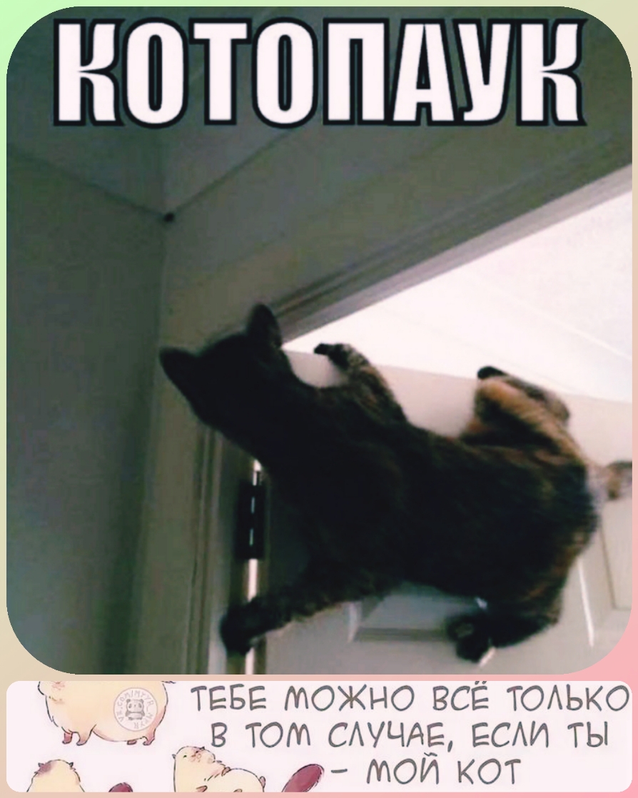 НПТПШШН ТЕБЕ можно ВСЁ ТОАЬКО в тот САУЧАЁ ЕСАИ ты у Ъч МОИ КОТ _ А 1