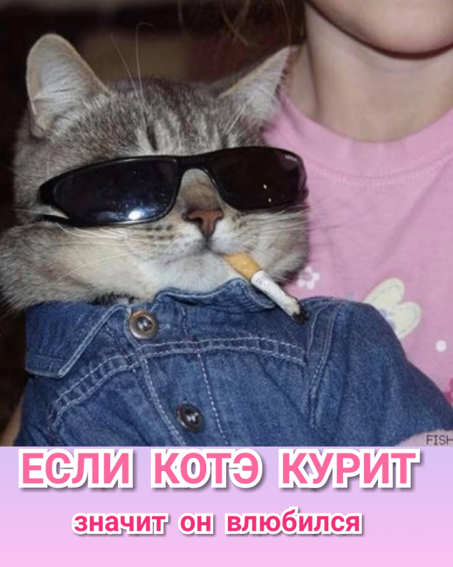 двд Щ д Ц значит ош влюбился