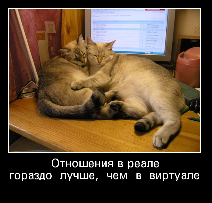 Отношения в реале гораздо лучше чем в виртуале