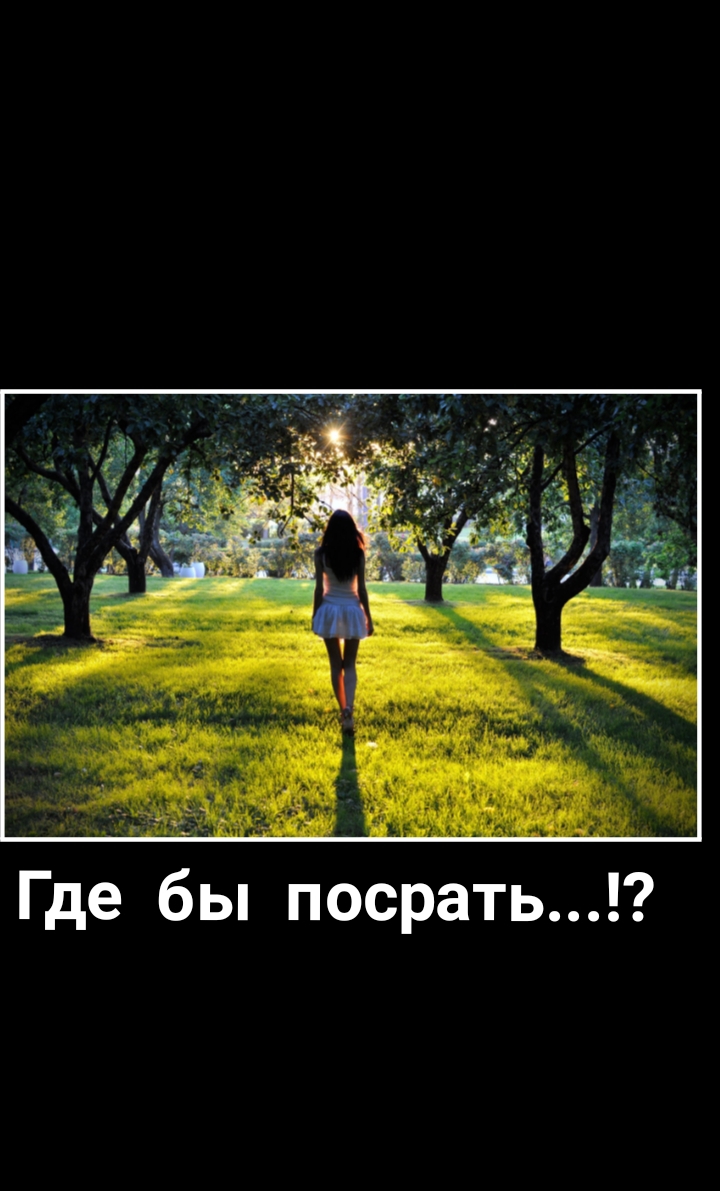 Где бы посрать