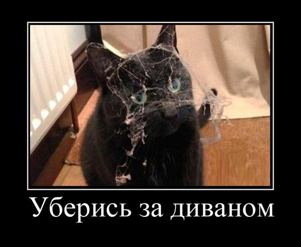 Уберись за диваном