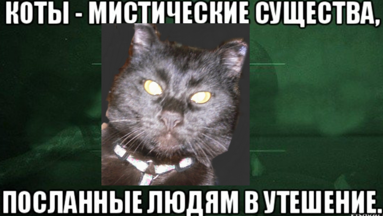 НВТЫ МИЁШЧЕЦНИЕ ШЩЕБТВА ППСПАННЫЕ ПЮДЁШ В УТЕШЕНИЕ