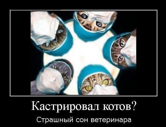 Страш ный сон ветеринара