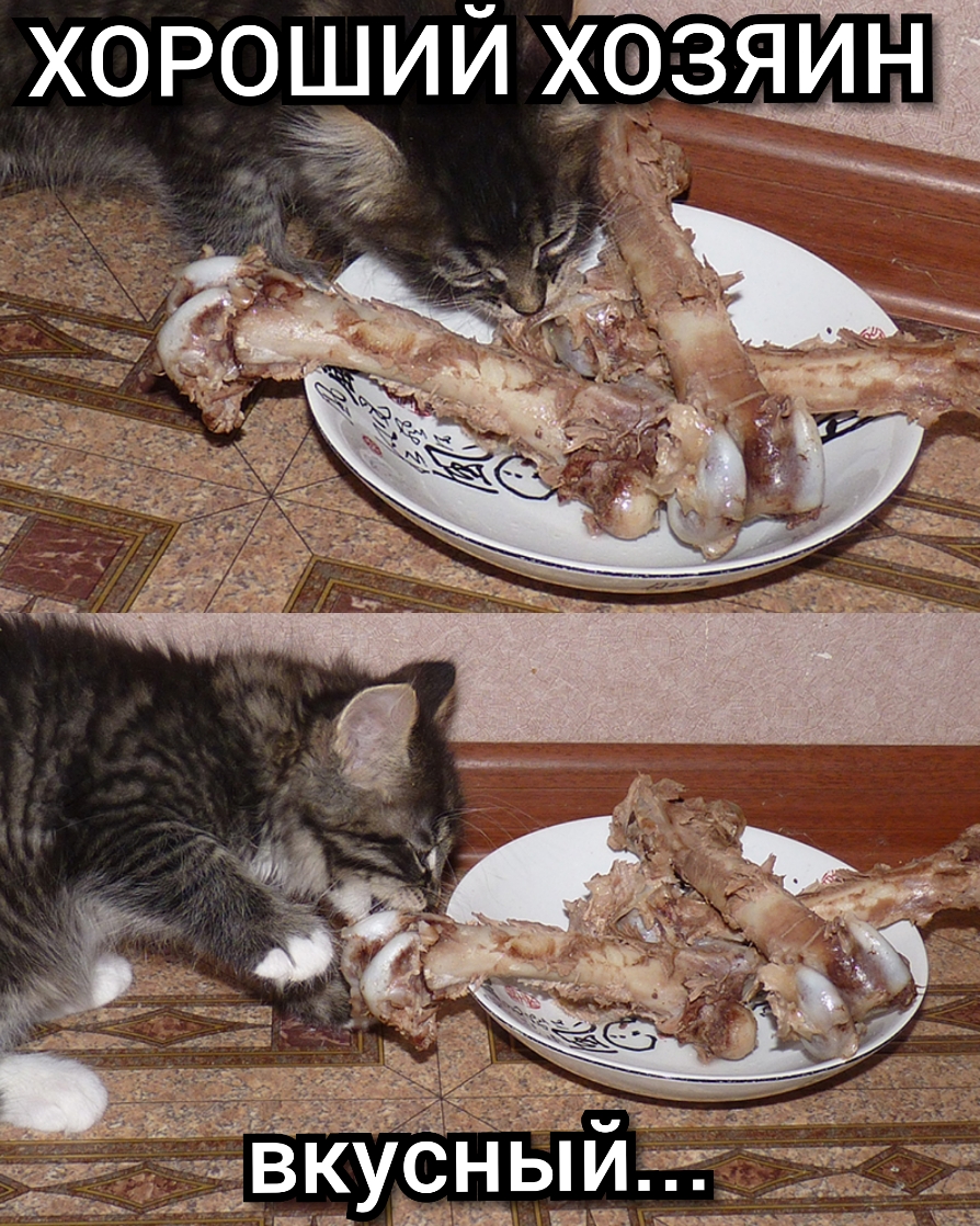 хороший хозяин ВіЁУСНЫ ш щ