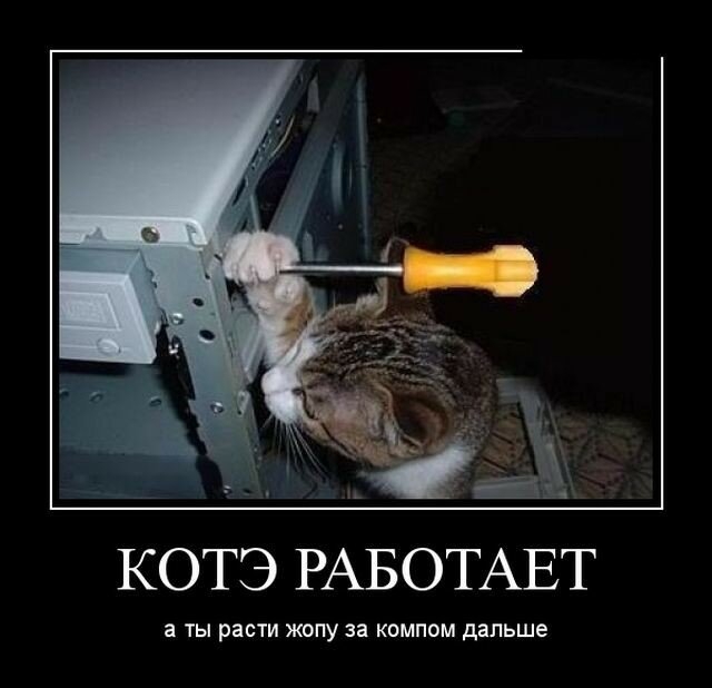 КОТЭ РАБОТАЕТ а ты расти жопу за компом дальше