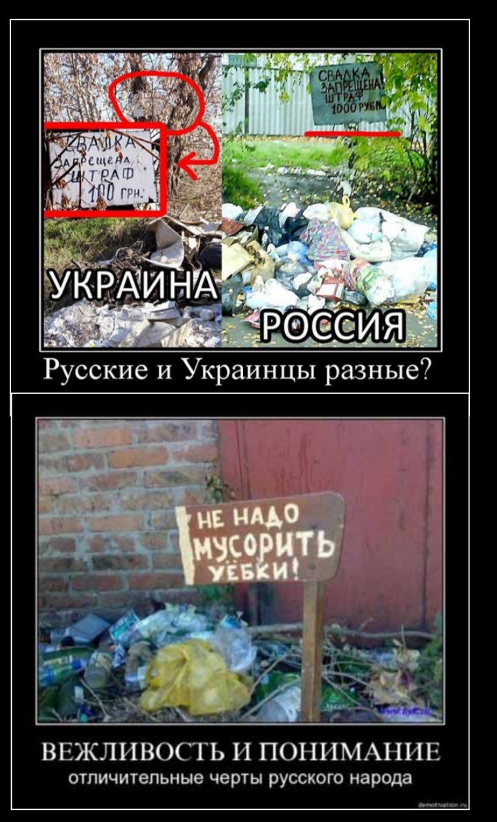 ВЕЖЛИВОСТЬ И ПОНИМАНИЕ отличительные черты русского народа