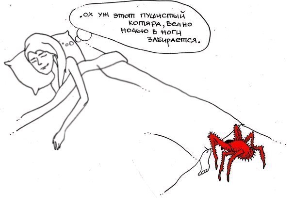 од тиковый шлиф дис ищю ь мгц
