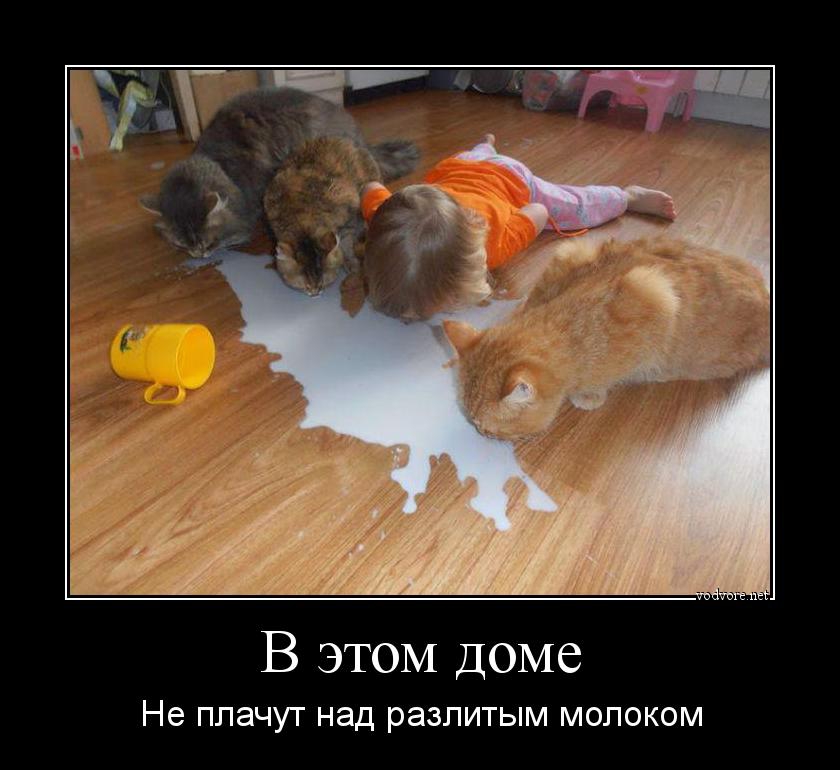 В этом доме Не ППЭЧУТ над РЕЗПИТЫМ МОПОКОМ