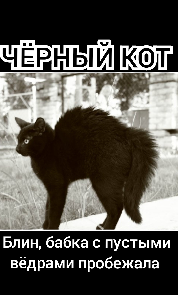 Блин бабка с пустыми вёдрами пробежала