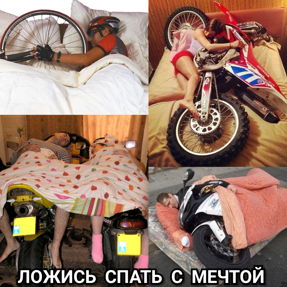 С ЛОЖИСЬ