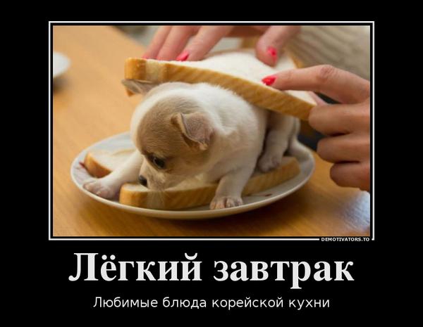 Лёгкий завтрак Люби имые ебл лаюд кореи