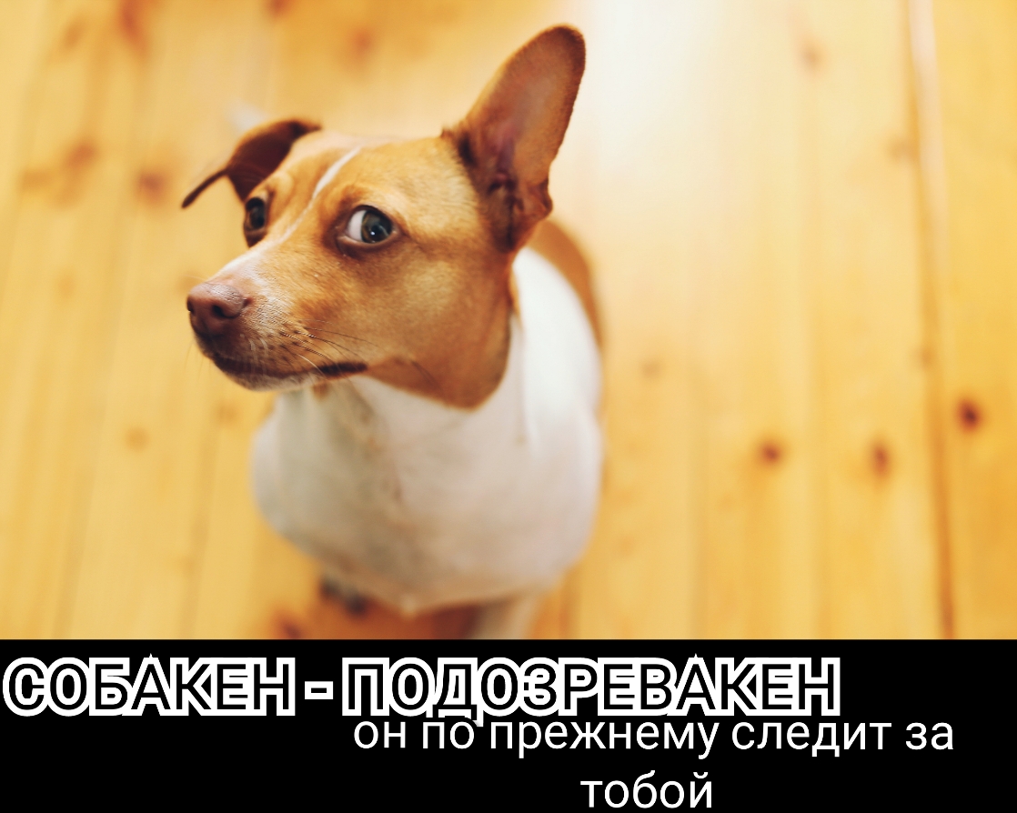 БАЮЕЗН П_ЗРЁВАКЁН он по прежнему следит за тобой