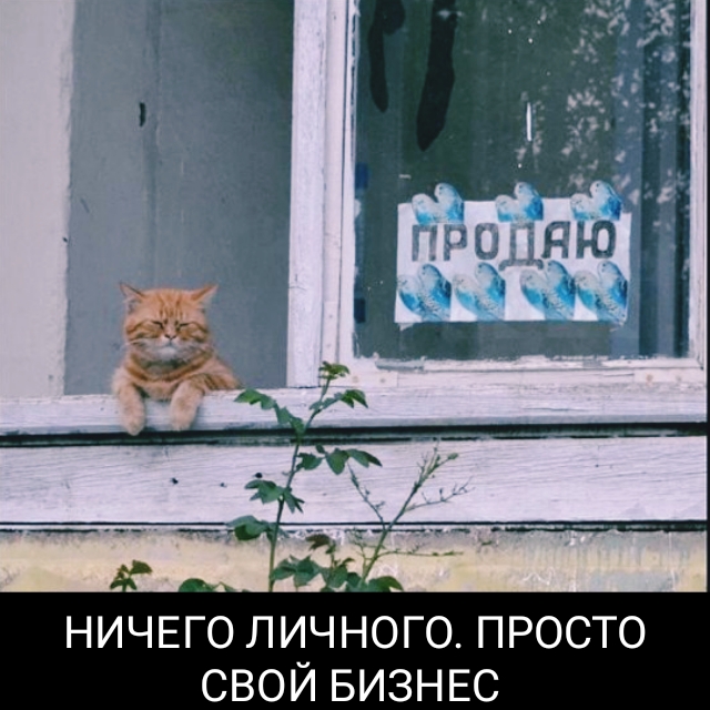 НИЧЕГОЛИЧНОГО ПРОСТО СВОЙ БИЗНЕС