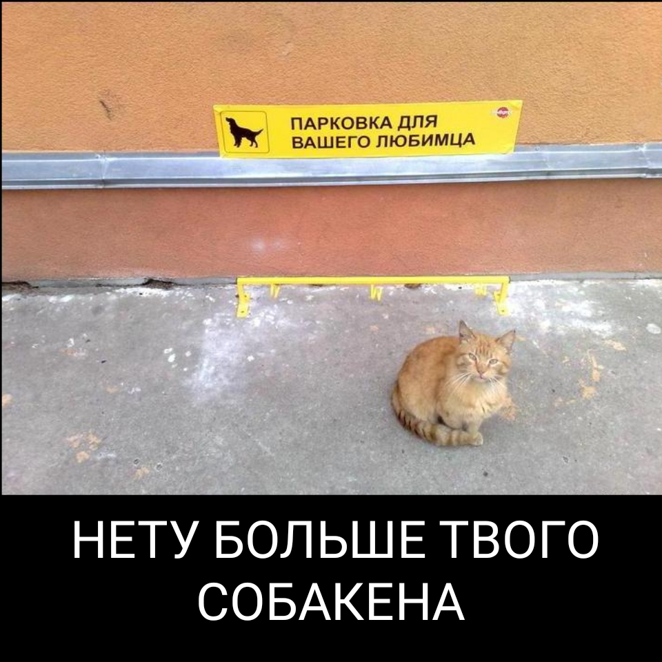 ПАРКОВКА ДЛЯ ВАШЕГО ПЮБИМЦА НЕТУ БОЛЬШЕ ТВОГО СОБАКЕНА