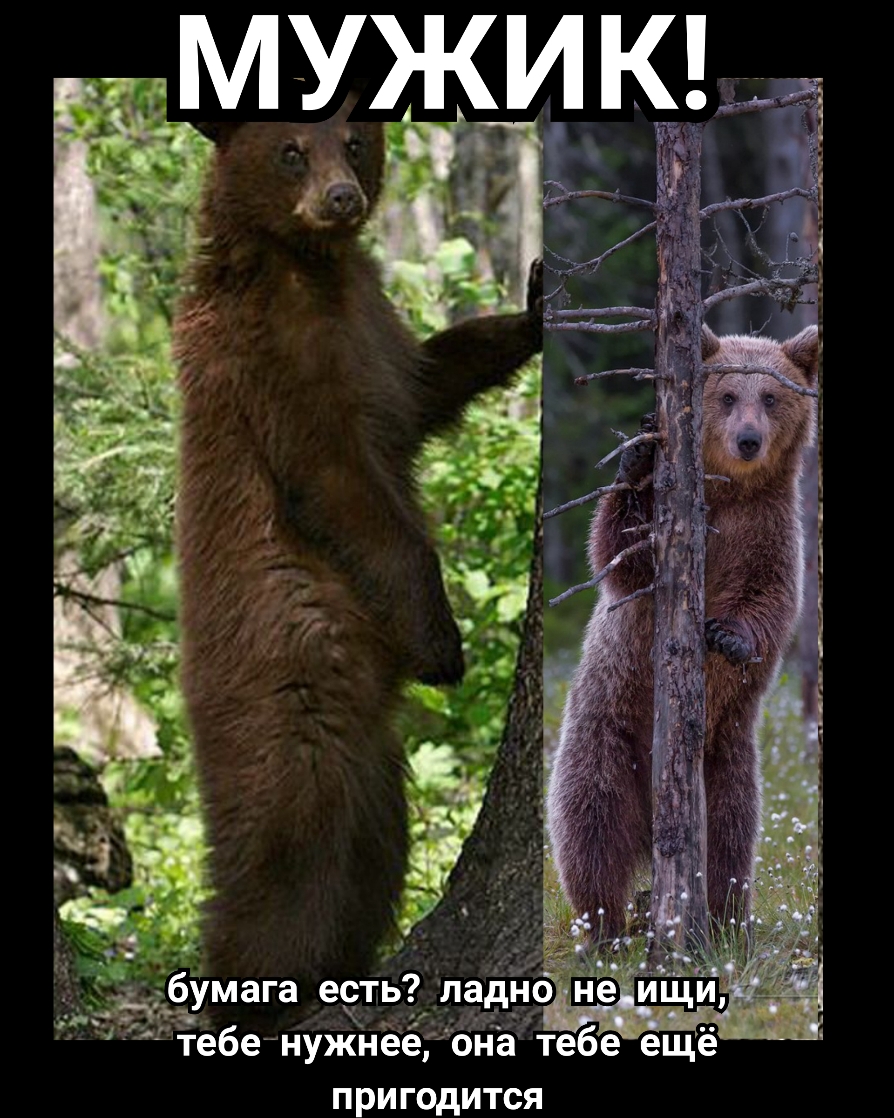 при ГОДИТСЯ