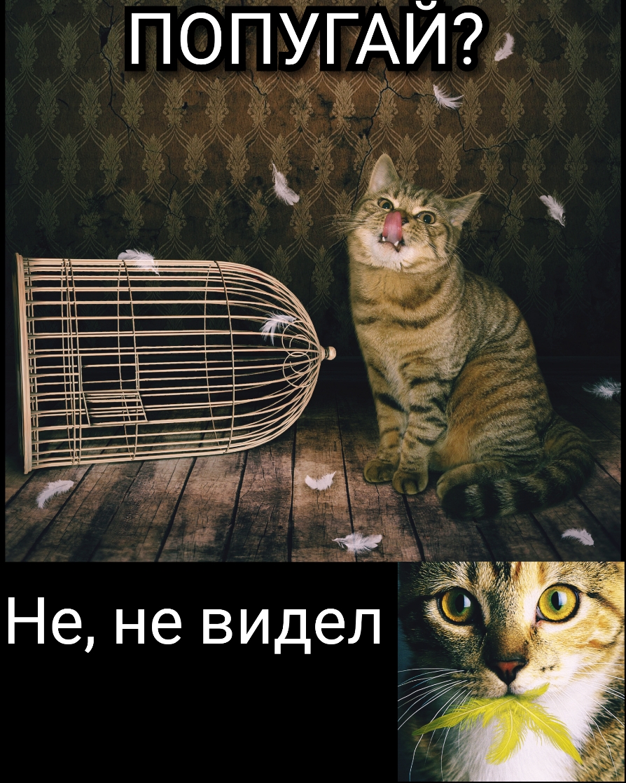 _ ц__ _с РЖ ЕЁЬЕЕЕЁЁЁ Н_і _ д ШЕЕЁ