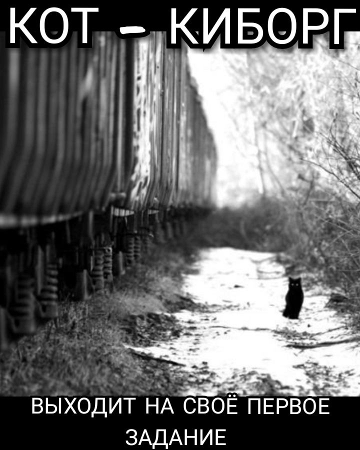 ь о РЕН В ста ВЫХОДИТ НА СВОЁ ПЕРВОЕ ЗАДАНИЕ