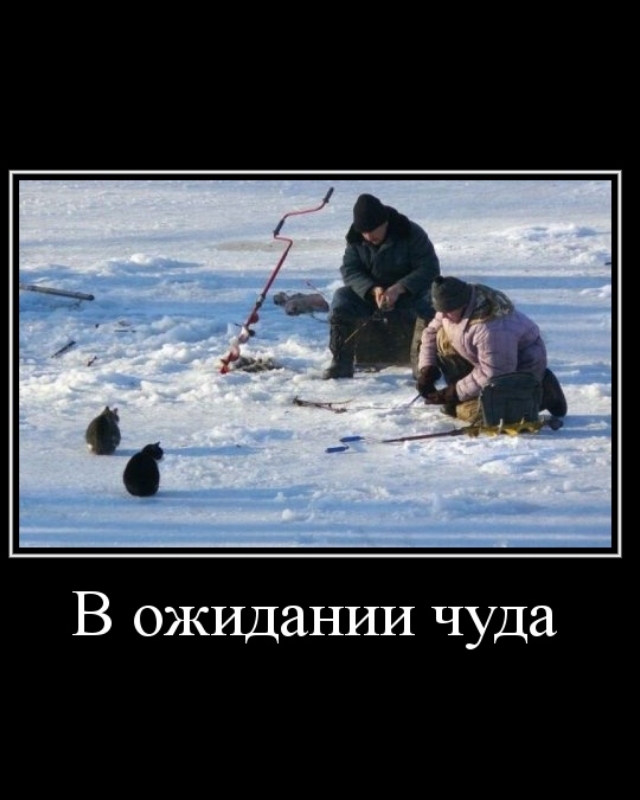 В ожидании чуда