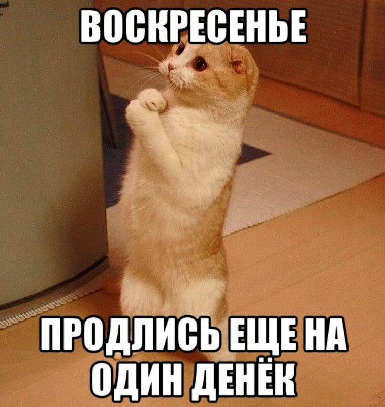 ВПВНРЕВЕНЬЕ з чть г ПР0дЛИ0Ь1ЕЩЕ А один дЕНЕН