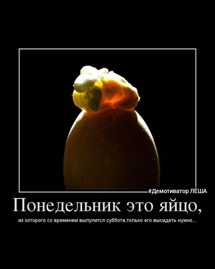 демотиватор ПЁША Понедельник это яйцо из которого со временем выпупитси субботатопько его высидеть нужно