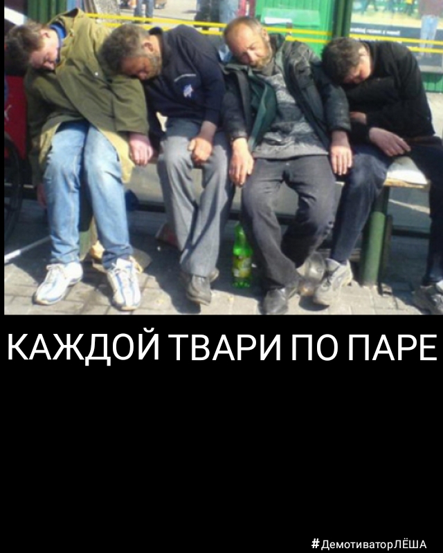КАЖДОЙ ТВАРИ ПО ПАРЕ демотиваторпЁША