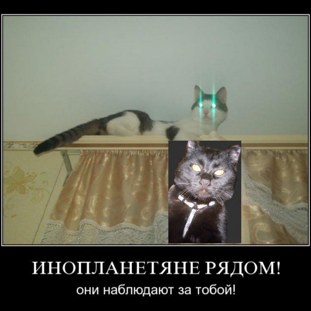 ИНОПЛАНЕТЯНЕ РЯДОМ они наблюдают за тобой