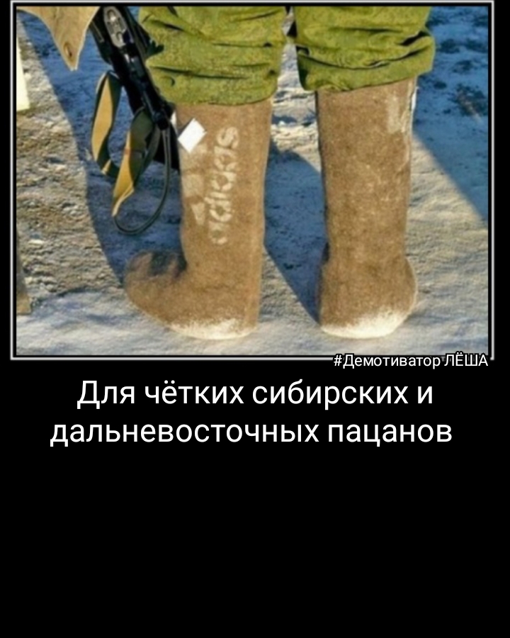 Демотиватор ЛЁША Для чётких сибирских и УлКе РД а 1оТоя ко и Ге ИС 0
