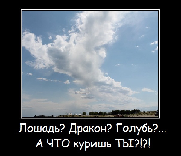 Лошадь Дракон Голубь А ЧТО куришь ТЬГ