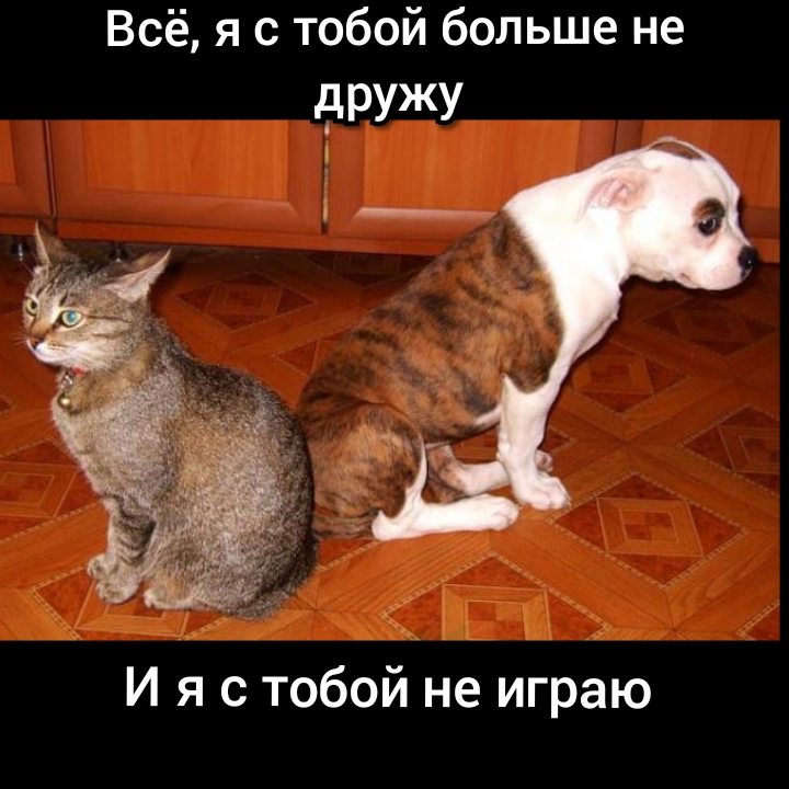 Всё я с тобой больше не дРУЖУ у 1 ъ ы И я с тобои не играю