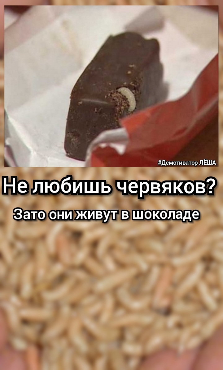 Жалюбишь червяков в О о О О _